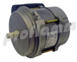 Rotex Motor 110W with Capacitor 