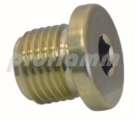 Closure screw G 1/4" 