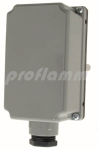 Tauchthermostat 100 i 