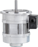 Blower motor Riello 606T2 