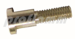 Brigon Skalenschraube 8318 
