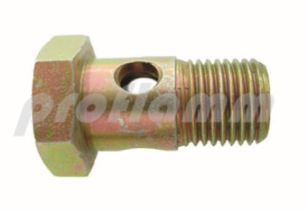 Banjo bolt 1/8" (for 10 mm Ring) 