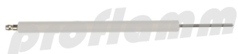 Weishaupt sensor electrode G40-70 vers. LN 
