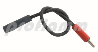 Weishaupt Ionisationsleitung WG5 