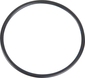 O-Ring für Radialventilator 50 x 2,5 