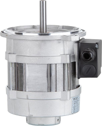 Gebläsemotor Riello 606T2 