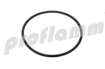Rotex O-Ring für Brennerflansch 