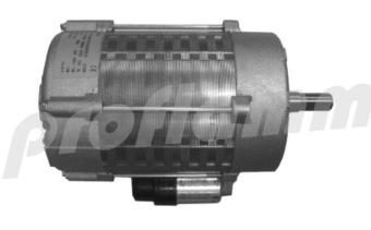 Elco Motor 250W EB95C80/2 