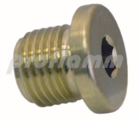 Closure screw G 1/2" 