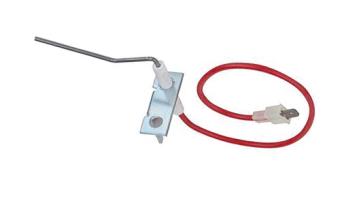 Ionization electrode with cable 7101148 